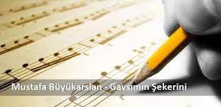 Mustafa Buyukaslan - Gavsimin sekerini